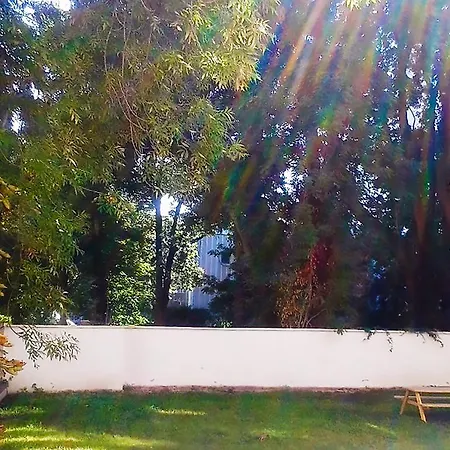 Apartmán Sense Of Zizkov