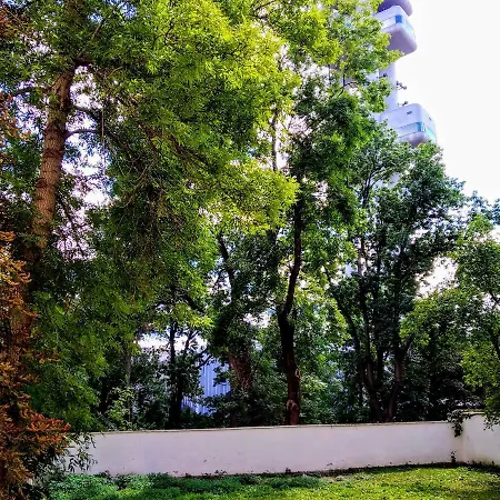 Apartment Sense Of Zizkov